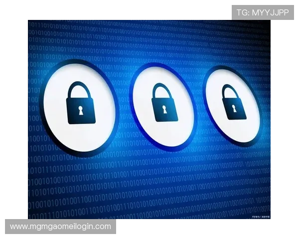 皇冠网站安全性分析：如何防范潜在风险与数据泄露