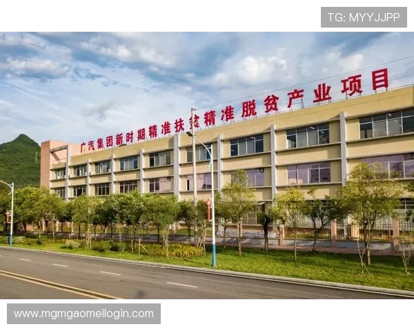 新濠国际集团推动社会责任与企业可持续发展的实践与成效分析