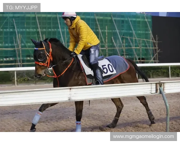 澳门2020年赛马比赛时间表及重要赛事日期全攻略