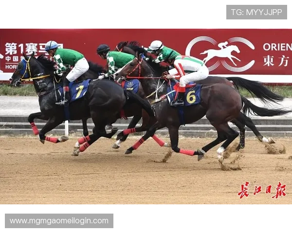 2024年赛马会地址平台官方入口导航，确保用户安全参与线上投注体验