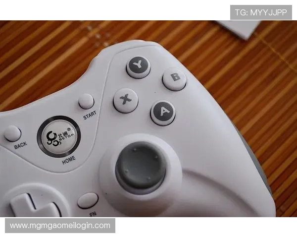 新博亚洲官网多样化的游戏类型满足不同玩家的娱乐需求分析 新博亚洲官网多样化的游戏类型满足不同玩家的娱乐需求分析