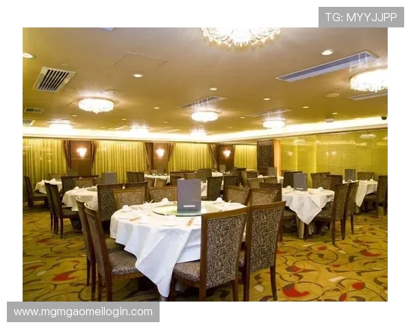 新濠锋娱乐平台安全保障措施详解保障玩家资金与信息安全的实用指南