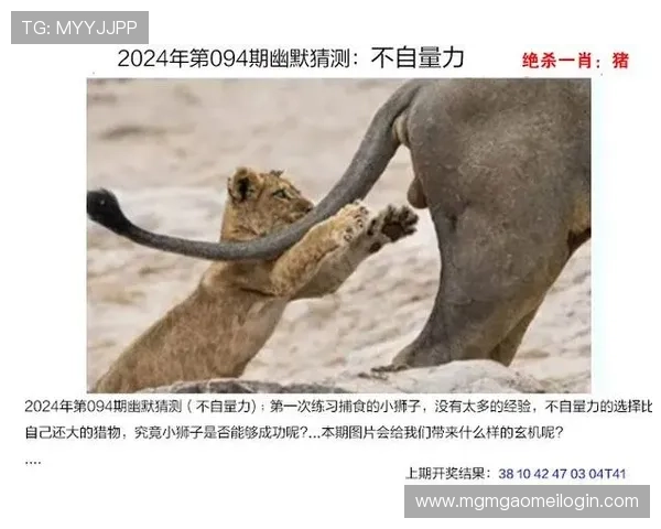 澳门开奖会员常见问题解答，解决你的疑问让你玩得更安心更顺畅